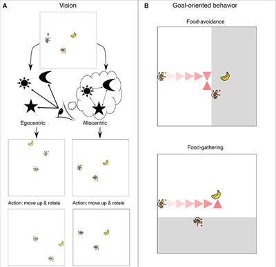 Perspective Taking in Deep Reinforcement Learning Agents